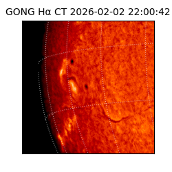 gong - 2026-02-02T22:00:42
