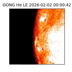 gong - 2026-02-02T00:00:42