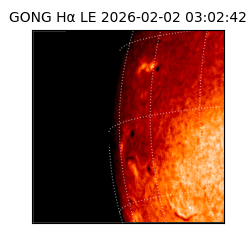 gong - 2026-02-02T03:02:42