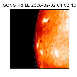 gong - 2026-02-02T04:02:42