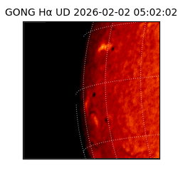 gong - 2026-02-02T05:02:02