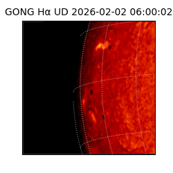 gong - 2026-02-02T06:00:02