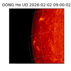 gong - 2026-02-02T09:00:02