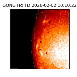 gong - 2026-02-02T10:10:22