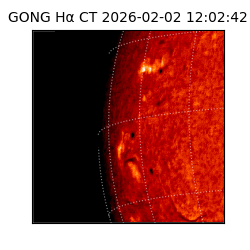 gong - 2026-02-02T12:02:42