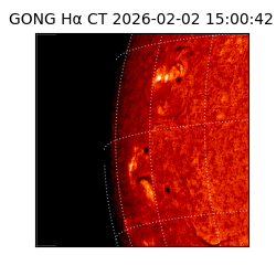 gong - 2026-02-02T15:00:42