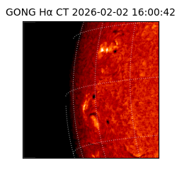 gong - 2026-02-02T16:00:42