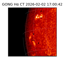 gong - 2026-02-02T17:00:42