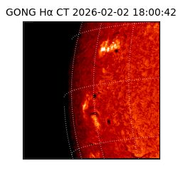 gong - 2026-02-02T18:00:42