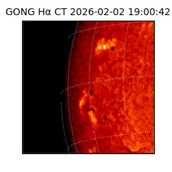 gong - 2026-02-02T19:00:42