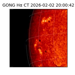 gong - 2026-02-02T20:00:42