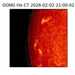 gong - 2026-02-02T21:00:42