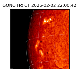 gong - 2026-02-02T22:00:42