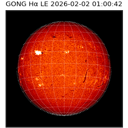 gong - 2026-02-02T01:00:42