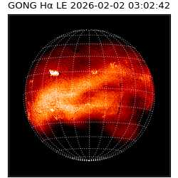 gong - 2026-02-02T03:02:42