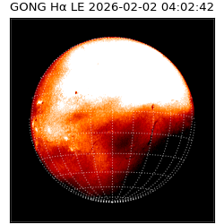 gong - 2026-02-02T04:02:42