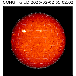 gong - 2026-02-02T05:02:02