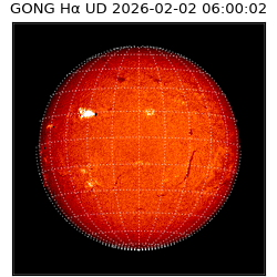 gong - 2026-02-02T06:00:02