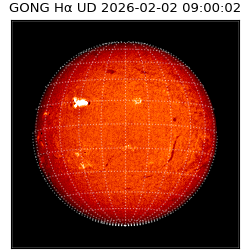 gong - 2026-02-02T09:00:02