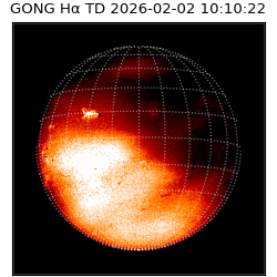 gong - 2026-02-02T10:10:22
