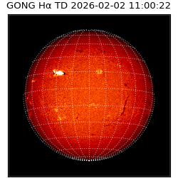 gong - 2026-02-02T11:00:22