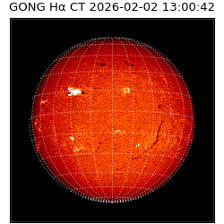 gong - 2026-02-02T13:00:42