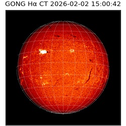 gong - 2026-02-02T15:00:42