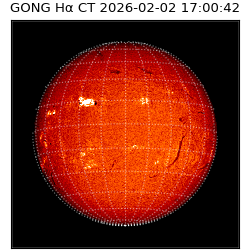 gong - 2026-02-02T17:00:42