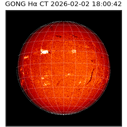 gong - 2026-02-02T18:00:42