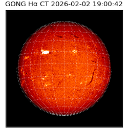 gong - 2026-02-02T19:00:42