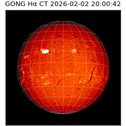 gong - 2026-02-02T20:00:42