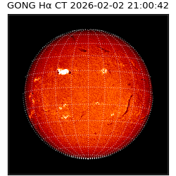 gong - 2026-02-02T21:00:42