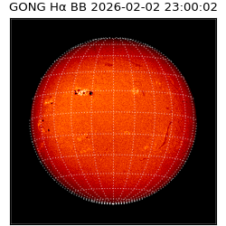 gong - 2026-02-02T23:00:02