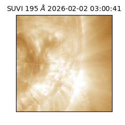 suvi - 2026-02-02T03:00:41.057000