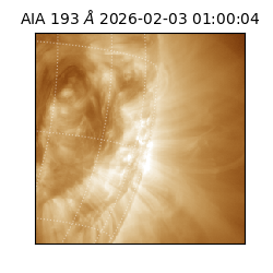 saia - 2026-02-03T01:00:04.843000