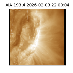 saia - 2026-02-03T22:00:04.842000