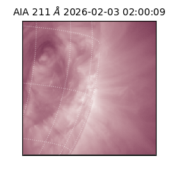 saia - 2026-02-03T02:00:09.632000