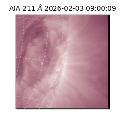 saia - 2026-02-03T09:00:09.625000