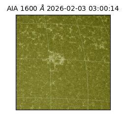 saia - 2026-02-03T03:00:14.126000