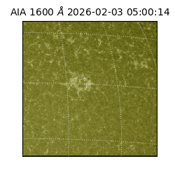 saia - 2026-02-03T05:00:14.118000