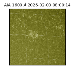 saia - 2026-02-03T08:00:14.126000