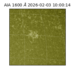 saia - 2026-02-03T10:00:14.126000