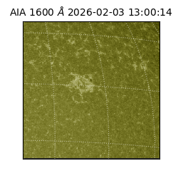 saia - 2026-02-03T13:00:14.125000