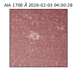 saia - 2026-02-03T04:00:28.717000