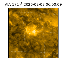 saia - 2026-02-03T06:00:09.342000