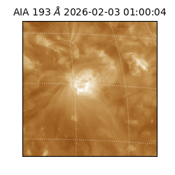 saia - 2026-02-03T01:00:04.843000