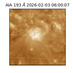 saia - 2026-02-03T06:00:07.111000