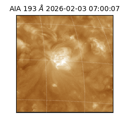 saia - 2026-02-03T07:00:07.033000