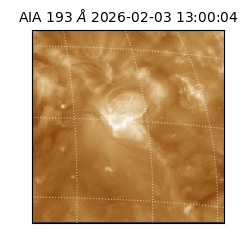 saia - 2026-02-03T13:00:04.843000