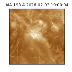 saia - 2026-02-03T19:00:04.843000